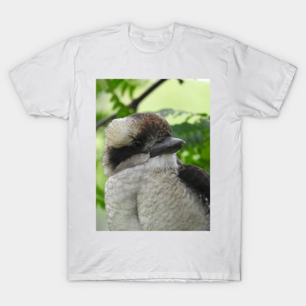 Kookaburra T-Shirt by kirstybush